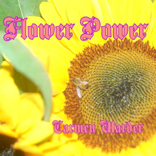 Flower Power Show Logo