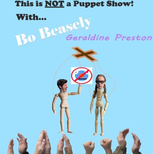This is NOT a Puppet Show Show Logo