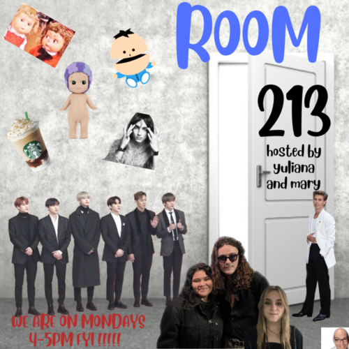 Room 213 Show Logo
