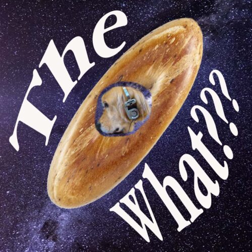 The What??? Show Logo