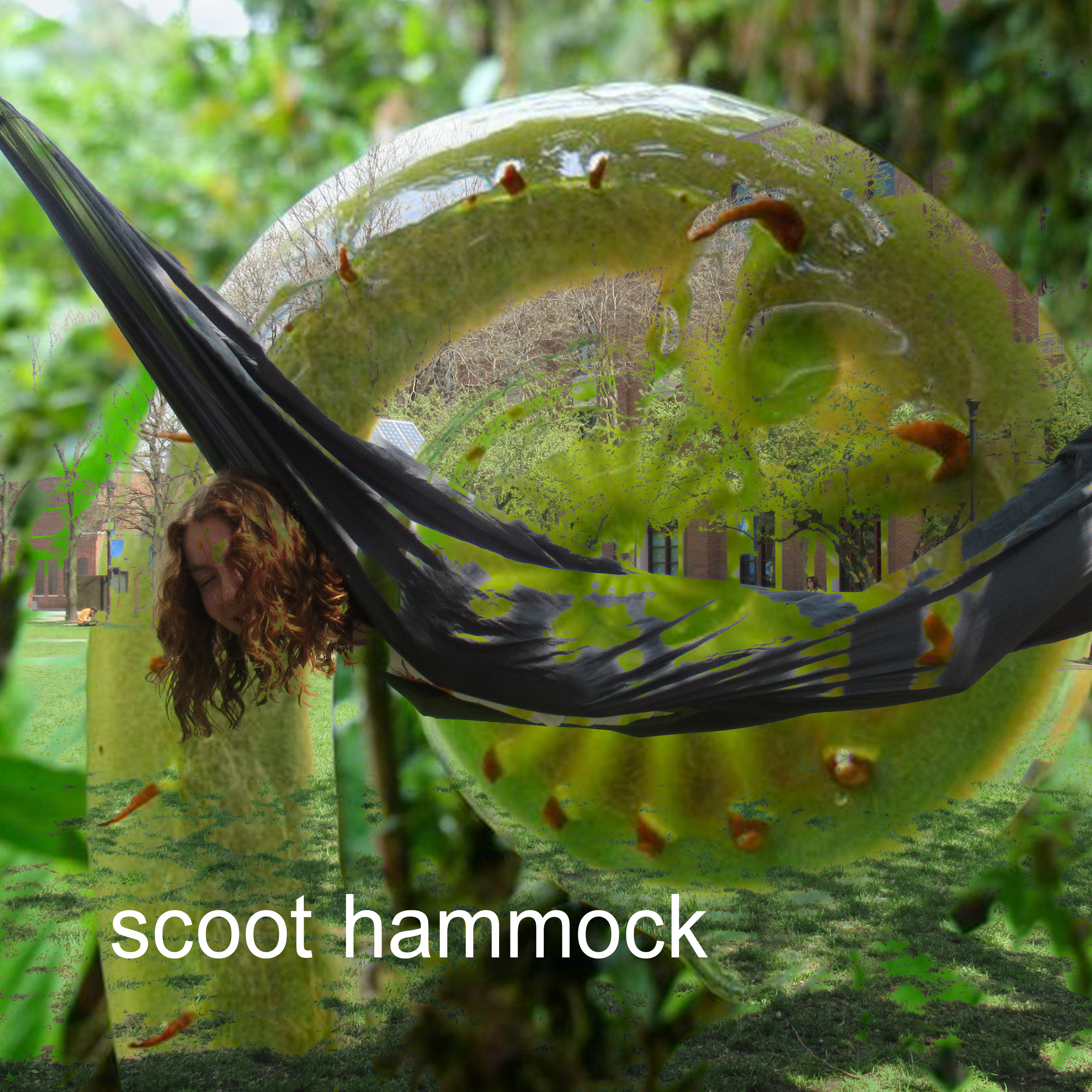 Scoot Hammock Show Logo