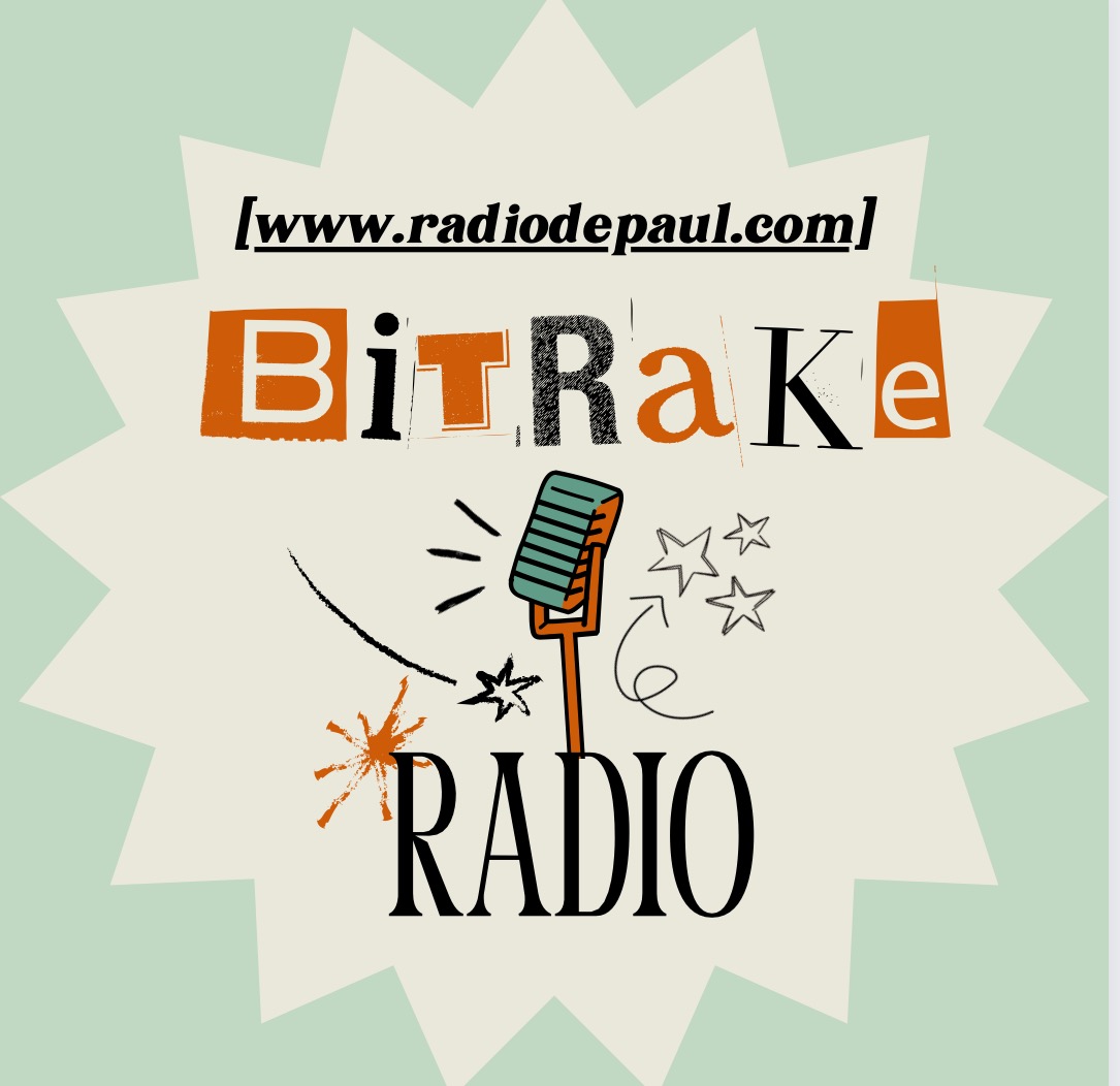 Bitrake Radio Show Logo