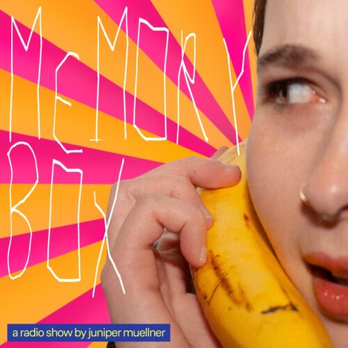 Memory Box Show Logo